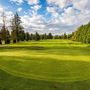 Pitt Meadows Golf Course May 2018-159 small